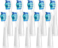 Replacement Brush HeadsCompatible for Seago for Fairywill Electric Toothbrush Head(10pcs White)