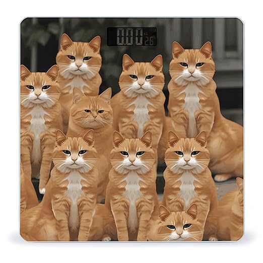 Orange Cats Weight ScaleClear LED Display Bathroom Digital Weighing ScaleTempered Glass Digital Bathroom Scale for Body Weight Capacity Up to 400 Lbs