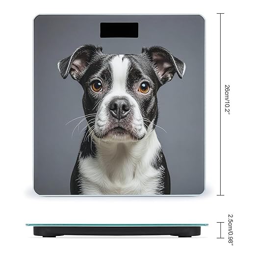 Boston Terrier Scale for Body Weight Digital Bathroom Scale Toughened Glass High Precision Scales for Body Weight with Large LCD Backlight Display Weight Scales