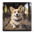 Dog Corg Bathroom Scale for Body Weight Bathroom Digital Electronic Weighing Scale with Back Lit LED Display Sturdy Tempered Glass Weight Watchers Scales 400lb