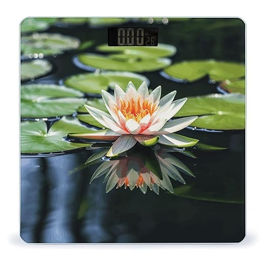 Water Lily Bathroom Scale Automatic Power On/Off Body Scales LCD Backlight Display Square Digital Scale Rounded Corners Bathroom Scales for Home Bedrooms