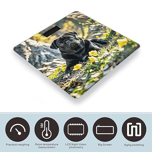 Cute Black Pug Dog Weight Scale Large Digital Bathroom Scales with Bright LED Display Non Slip Digital Scale and Step On Fashion Weighing Machine for Body