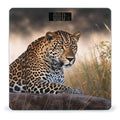 African Animal Leopard Scale for Body Weight Safe Rounded Corners Tempered Glass Digital Bathroom Scale LED Display 400lb Capacity Weight Scales with High Precision Sensors
