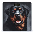 Cool Rottweiler Dog Art Scale for Body Weight Safe Rounded Corners Tempered Glass Digital Bathroom Scale LED Display 400lb Capacity Weight Scales with High Precision Sensors