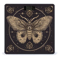 Moth Scale for Body Weight Anti-Slip Tempered Glass Digital Bathroom Scales Clear LCD Display Weighing Scale Safe Rounded Corners Smart Scales