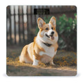 Dog Corgi Scale for Body Weight Smart Scales Digital Bathroom Scale High Precision Weighing Scales with Large Display Weighing Machine for People