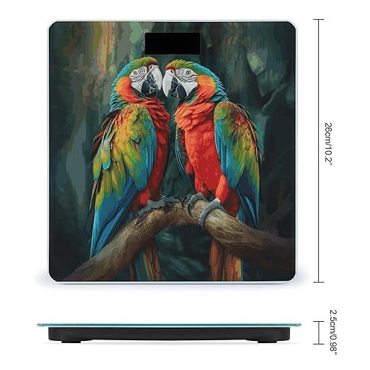 Two Colored Parrots Bathroom Scale Ultra-Bright Liquid Crystal Screen Weight Scale Accurate Bathroom Body Scales for Body Weight Bathroom Pet Home Bedroom Gift-Giving