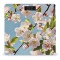 Digital Bathroom Scale for Body Weight Scale with Bright LCD Display High Accuracy Step-On Technology Auto On/Off Japanese Floral Cherry Blossom Digital Scales 400 Lbs /180kg