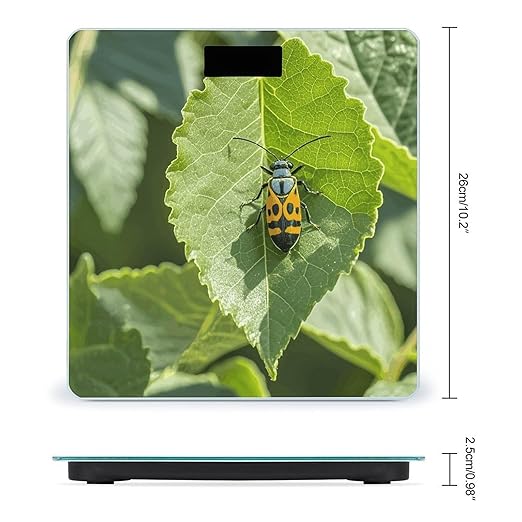 Insects on Leaves Scale for Body Weight Digital Bathroom Scale Accurate Smart Weight Scales with Large Display Weighing Machine High Precision Scales