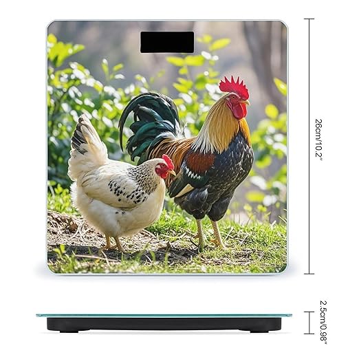 Rooster and Hen Scale for Body Weight Accurate Digital Bathroom Scale Toughened Glass High Precision Scales Smart Weight Scales with Large LCD Backlight Display Weighing Machine