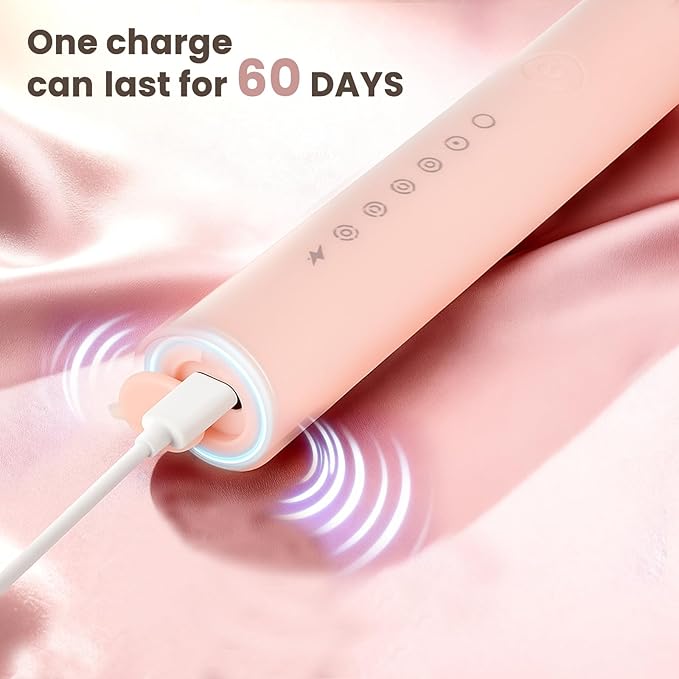 12 Pack Adult Electric Toothbrush Rechargeable Sonic Electric Toothbrush with 4 Brush Heads 6 Modes Timer Function IPX7 Waterproof 3 Colors Available