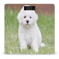 Bichon Frise Dog Scale for Body Weight Anti-Slip Tempered Glass Digital Bathroom Scales Clear LCD Display Weighing Scale Safe Rounded Corners Smart Scales