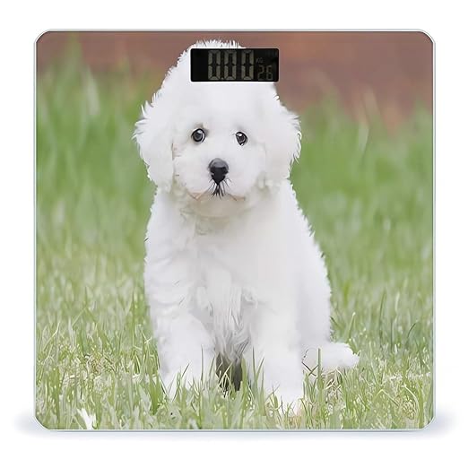 Bichon Frise Dog Scale for Body Weight Anti-Slip Tempered Glass Digital Bathroom Scales Clear LCD Display Weighing Scale Safe Rounded Corners Smart Scales