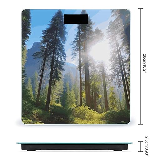 National Parks Sunshine Trees Bathroom Scale Automatic Power On/Off Body Scales LCD Backlight Display Square Digital Scale Rounded Corners Bathroom Scales for Home Bedrooms