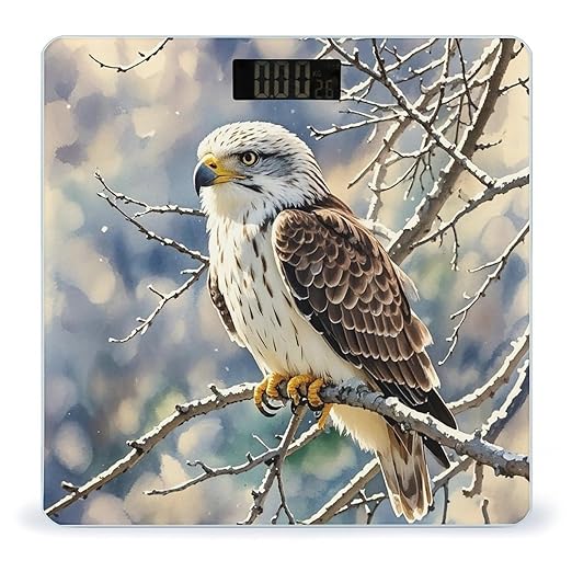 Hawk Scale for Body Weight Accurate Digital Bathroom Scale Toughened Glass High Precision Scales Smart Weight Scales with Large LCD Backlight Display Weighing Machine