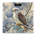 Hawk Scale for Body Weight Accurate Digital Bathroom Scale Toughened Glass High Precision Scales Smart Weight Scales with Large LCD Backlight Display Weighing Machine