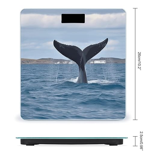 Whale Tail Bathroom Scale Large LCD Backlight Display Digital Scale Rounded Corners Body Scales Automatic Power On/Off Bathroom Scales for Home Bedrooms