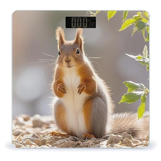 Squirrel Funny Animal Bathroom Scale Digital Weight Scale Precision 400 Lbs Weighing Scales Large with LCD Backlight Display BMI Measures