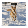 Dog Chasing in The Snow Digital Bathroom Scale for Body Weight Weighing Scale with Backlit LCD Display High Precision Measurements &amp Measures Weight Up to 180kg