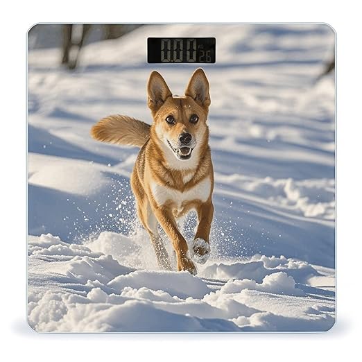 Dog Chasing in The Snow Scale for Body Weight Digital Bathroom Scale Accurate Smart Weight Scales with Large Display Weighing Machine High Precision Scales