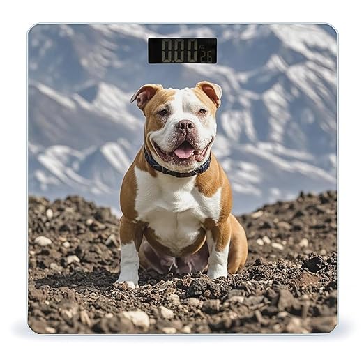 Pitbull Dogs Bathroom Scale for Body Weight Bathroom Weighing Scales with Back Lit LED Display Sturdy Tempered Glass Body Weight Bathroom Scale 400lb Weighing