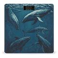 Ocean Whale Scale for Body Weight Sturdy Tempered Glass Weighing Scales with LCD Display Accurate Digital Bathroom Scale Convenient Body Fat Smart Scales 400lb