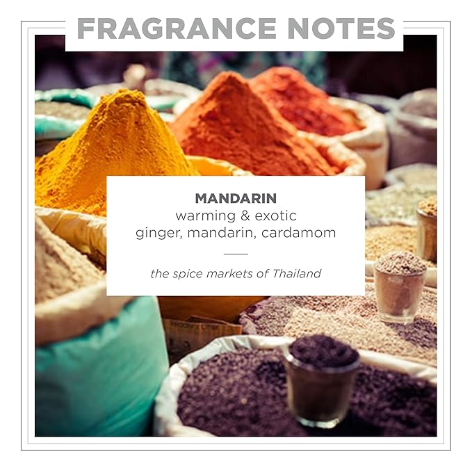 Zents Hand &amp Body Wash (Mandarin Fragrance) | Hydrating Anti-Aging Cleanser with Organic Shea Butter &amp Aloe for Dry Skin | Gentle &amp Nourishing | 10 fl oz