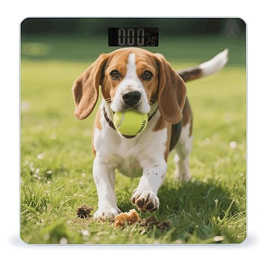 Play Hungry Beagle Dog Weight Scale Cute Bathroom Scale for Body Highly Accurate Digital Weighing Machine for People Compact LCD Display Scales with Sturdy Toughened Glass Scales