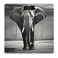 Black and White Elephant Scale for Body Weight Anti-Slip Tempered Glass Digital Bathroom Scales Clear LCD Display Weighing Scale Safe Rounded Corners Smart Scales