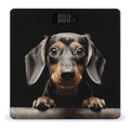 Digital Bathroom Scale for Body Weight Scale with Bright LCD Display High Accuracy Step-On Technology Auto On/Off Pad Dachshund Digital Scales 400 Lbs /180kg