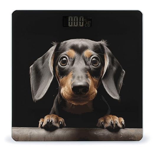 Digital Bathroom Scale for Body Weight Scale with Bright LCD Display High Accuracy Step-On Technology Auto On/Off Pad Dachshund Digital Scales 400 Lbs /180kg