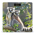 Ringtailed Lemur Scale for Body Weight Highly Accurate Digital Bathroom Body Scale Digital Bathroom Scales for People Anti-Slip Large LCD Display Smart Scales