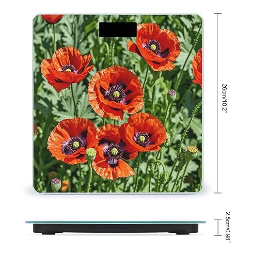 Red Geraniums Flower Bathroom Scale for Body Weight LCD Display Digital Bathroom Scale Tempered Glass Bathroom Weight Scales Fashion Smart Scales for Home Bedroom 400 Lb
