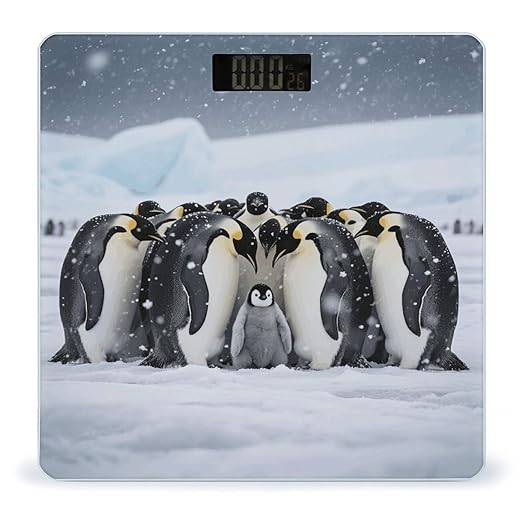 Emperor Penguin Huddle Scale for Body Weight Sturdy Tempered Glass Weighing Scales with LCD Display Accurate Digital Bathroom Scale Convenient Body Fat Smart Scales Easy Read