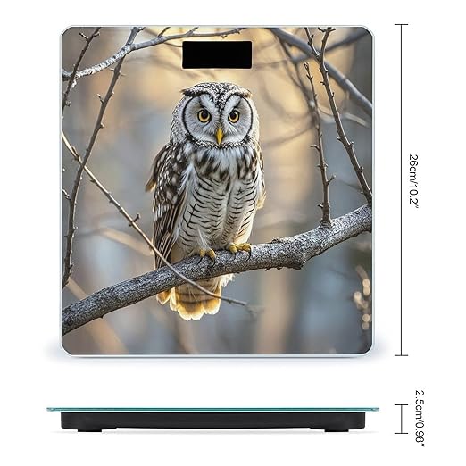 Owl on A Branch Bathroom Scale for Body Weight Bathroom Weighing Scales with Back Lit LED Display Sturdy Tempered Glass Body Weight Bathroom Scale 400lb Weighing