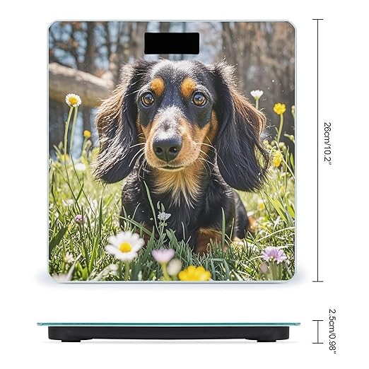 Cute Dachshund Scale for Body Weight Smart Scales Digital Bathroom Scale High Precision Weighing Scales with Large Display Weighing Machine for People