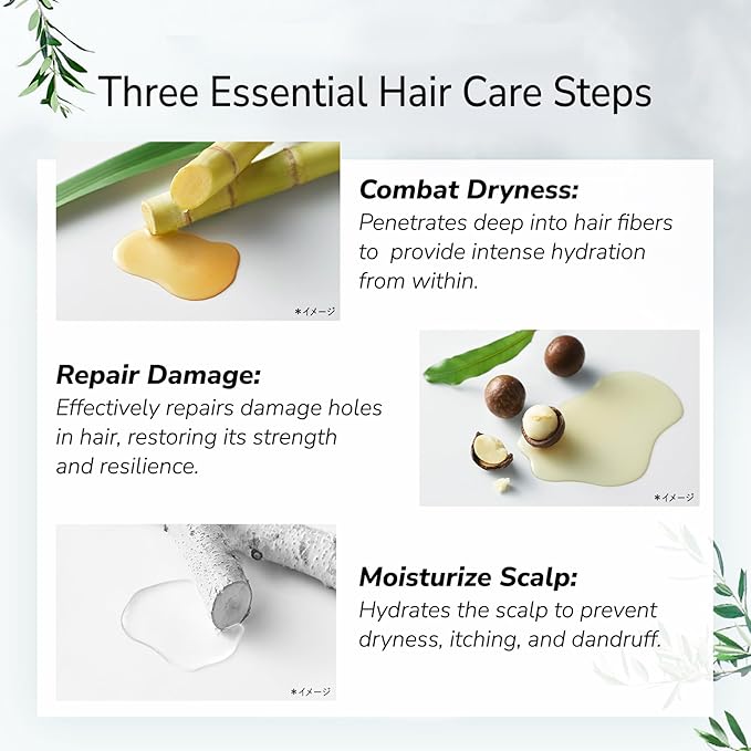 Botanist Organic Body Wash &amp Shampoo Set Natural Shower Gel For Women Dry Skin Sulfate Free Shampoo for Oily Hair with Natural Keratin &amp Honey from Japan Silicone &amp Paraben Free 32.0 Fl