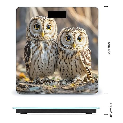 Real Cute Owls Scale for Body Weight Accurate Digital Bathroom Scale Toughened Glass High Precision Scales Smart Weight Scales with Large LCD Backlight Display Weighing Machine