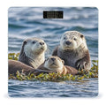 Sea Otters Scale for Body Weight Highly Accurate Digital Bathroom Body Scale Digital Bathroom Scales for People Anti-Slip Large LCD Display Smart Scales