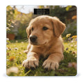 Home Garden Puppy Paws Weight ScaleClear LED Display Bathroom Digital Weighing ScaleTempered Glass Digital Bathroom Scale for Body Weight Capacity Up to 400 Lbs