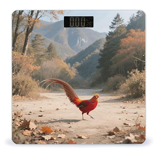 Golden Pheasant Scale for Body Weight Sturdy Tempered Glass Weighing Scales with LCD Display Accurate Digital Bathroom Scale Convenient Body Fat Smart Scales Easy Read
