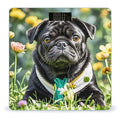 Cute Black Pug Dog Scale for Body Weight Accurate Digital Bathroom Scale Toughened Glass High Precision Scales Smart Weight Scales with Large LCD Backlight Display Weighing Machine