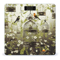 Birdcages and Birds Scale for Body Weight Accurate Digital Bathroom Scale Toughened Glass High Precision Scales Smart Weight Scales with Large LCD Backlight Display Weighing Machine
