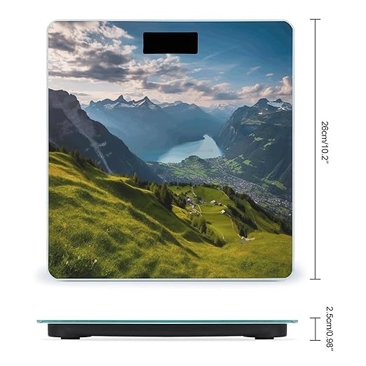 Switzerland Alps Bathroom Scale Large LCD Backlight Display Digital Scale Rounded Corners Body Scales Automatic Power On/Off Bathroom Scales for Home Bedrooms