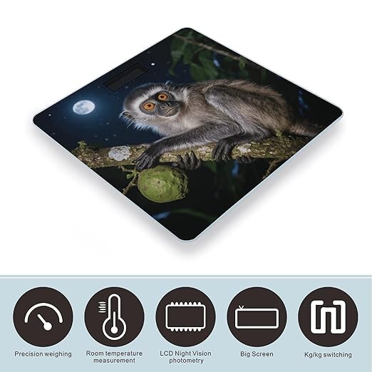 Peruvian Night Monkey Scale for Body Weight Sturdy Tempered Glass Weighing Scales with LCD Display Accurate Digital Bathroom Scale Convenient Body Fat Smart Scales Easy Read
