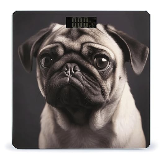 Pug Bathroom Scale Large LCD Backlight Display Digital Scale Rounded Corners Body Scales Automatic Power On/Off Bathroom Scales for Home Bedrooms