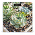 Smiling SucculentsSmiling Succulents Scale for Body Weight Digital Bathroom Scale Accurate Smart Weight Scales with Large Display Weighing Machine High Precision Scales