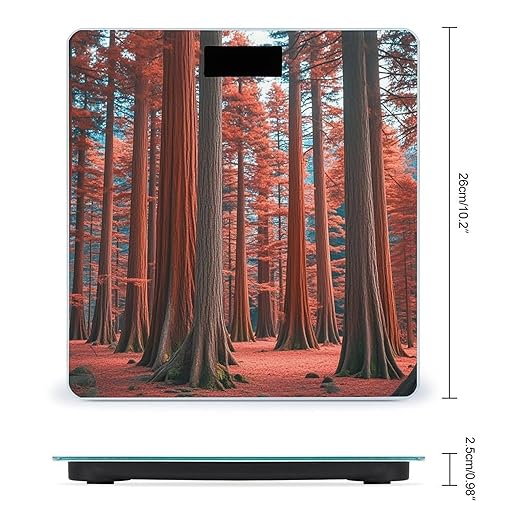 Muir Woods Scale for Body Weight Smart Scales Digital Bathroom Scale High Precision Weighing Scales with Large Display Weighing Machine for People