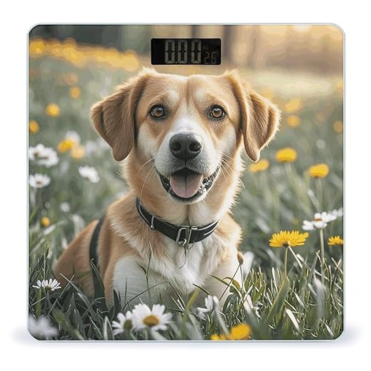 Animal Dog Photo Weight Scale Large Digital Bathroom Scales with Bright LED Display Non Slip Digital Scale and Step On Fashion Weighing Machine for Body