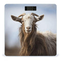 Animal Goat Bathroom Scale Large LCD Backlight Display Digital Scale Rounded Corners Body Scales Automatic Power On/Off Bathroom Scales for Home Bedrooms